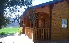 La casa del estanque